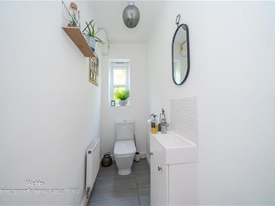 Picture 15